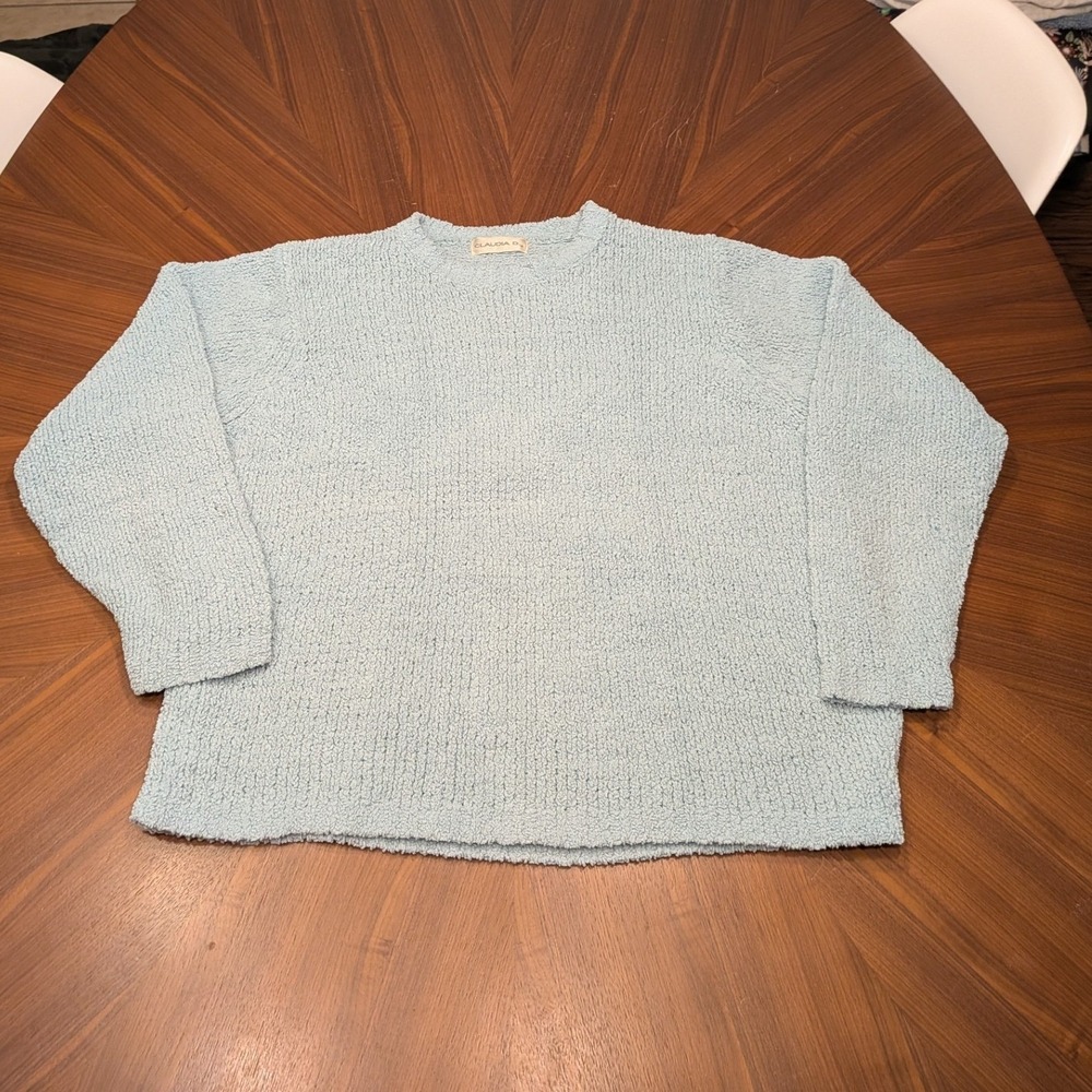 Claudia D. Sweater Womens Light Blue Excellent Popcorn Knit Crew Neck Pullover